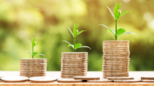 Guía fácil para ahorrar y reducir gastos mensuales según la IA