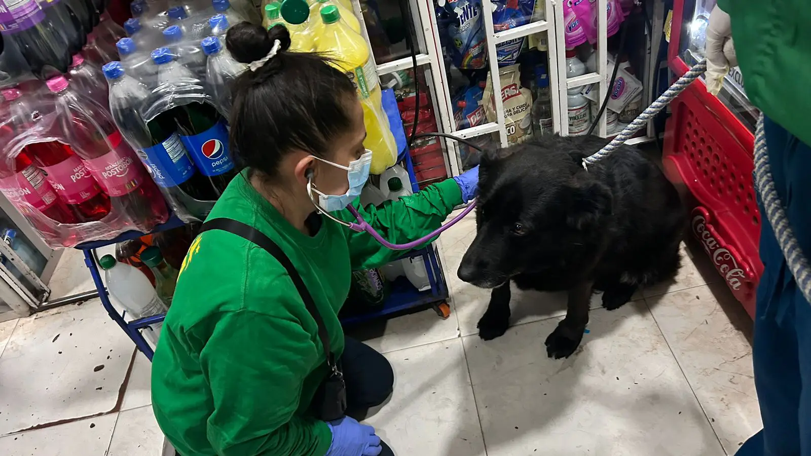 El IDPYBA brinda atención integral a Negrita.