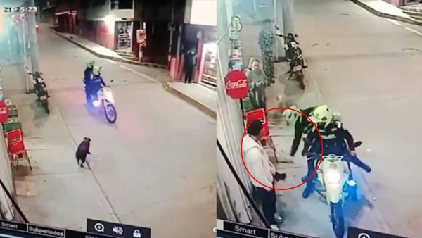 ¿Qué pasará con los policías que golpearon con un bolillo a una perrita en Bogotá? ¿Qué pasará con los policías que golpearon con un bolillo a una perrita en Bogotá?