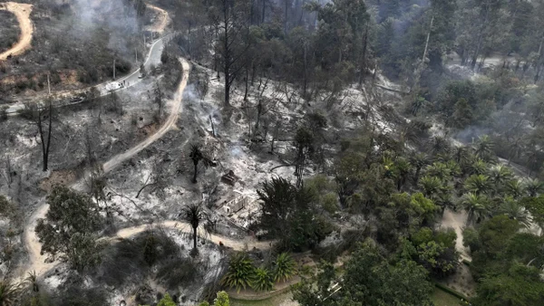 Detienen en Chile a bombero acusado de provocar el mortal incendio en Viña del Mar Detienen en Chile a bombero acusado de provocar el mortal incendio en Viña del Mar
