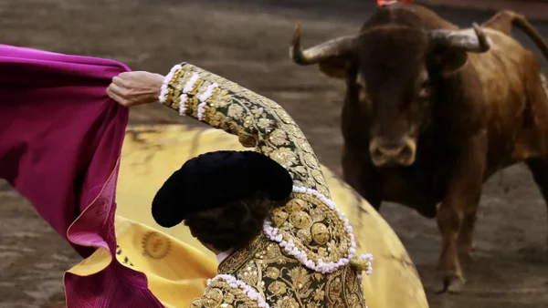 Las opiniones encontradas por el proyecto de ley que prohíbe las corridas de toros Las opiniones encontradas por el proyecto de ley que prohíbe las corridas de toros