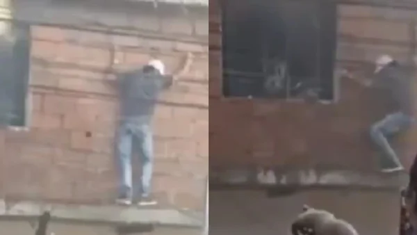 Gestos de valentía: hombre se jugó la vida para rescatar a cinco gatos del fuego en Medellín: video Gestos de valentía: hombre se jugó la vida para rescatar a cinco gatos del fuego en Medellín: video