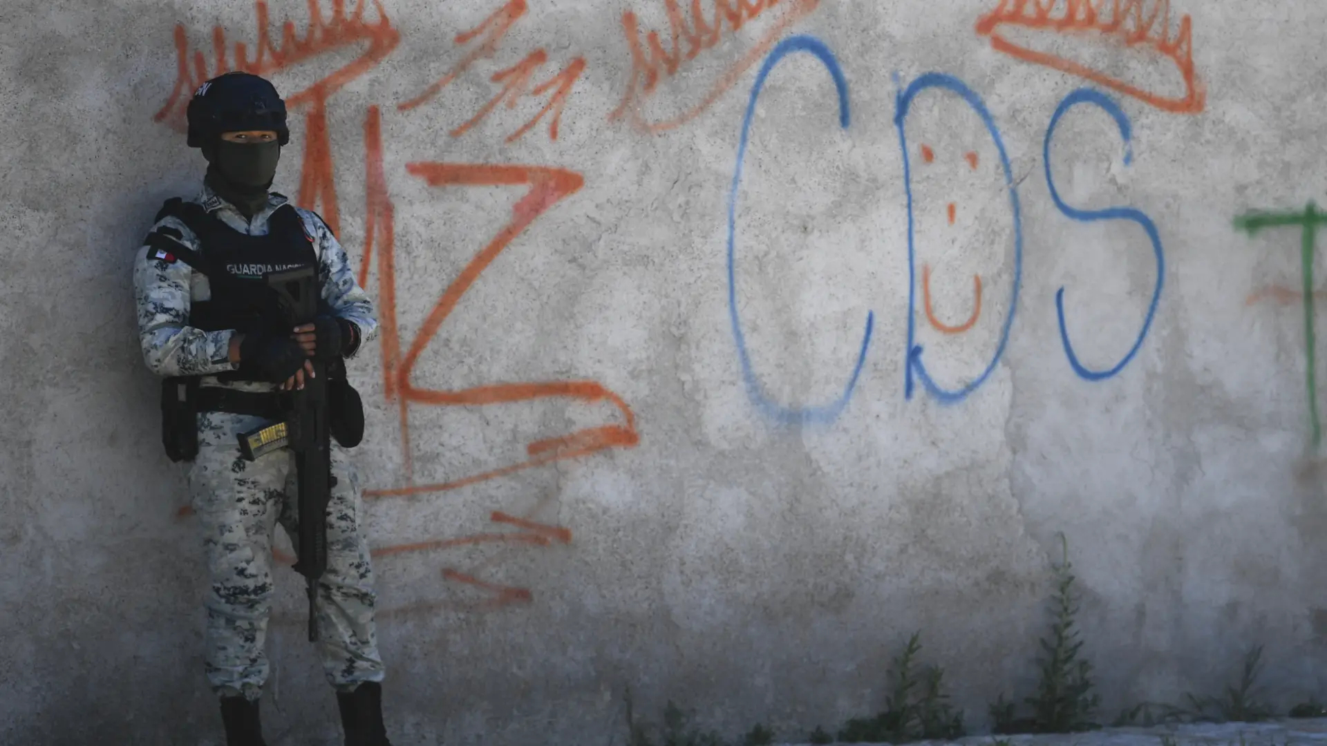 Los carteles son organizaciones criminales localizadas en México.