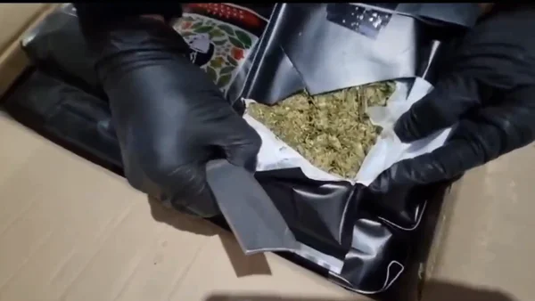 Incautaron carga equivalente a unas 20.600 dosis de marihuana en aeropuerto El Dorado de Bogotá