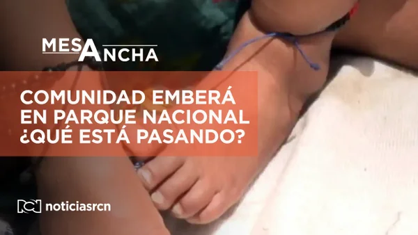 Comunidad Emberá en el Parque Nacional de Bogotá: ¿quién debe hacerse responsable de la situación?