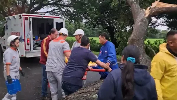 Madre e hijo fallecieron debido a un deslizamiento en Rioblanco, Tolima
