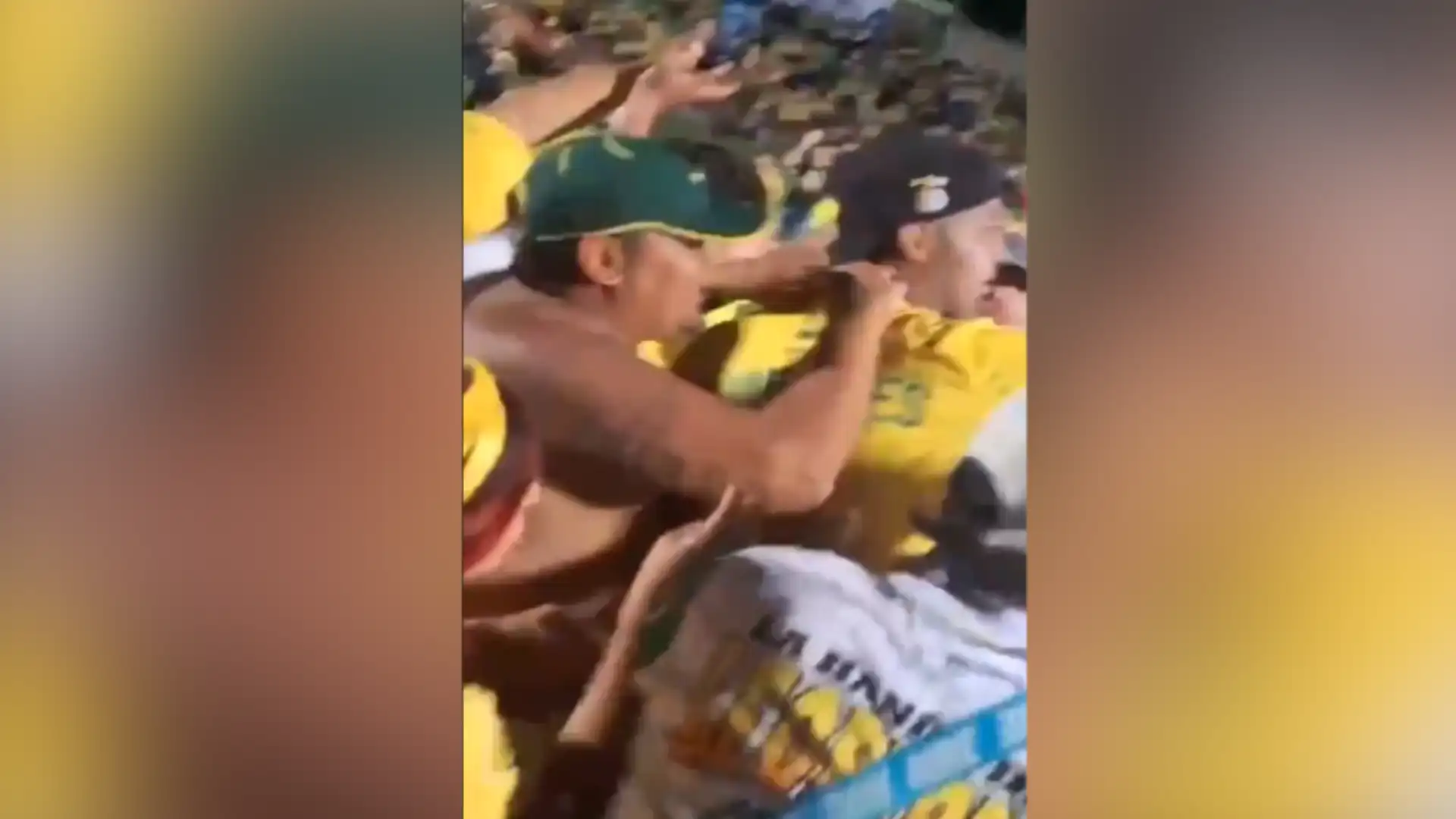 Hincha del Bucaramanga robando