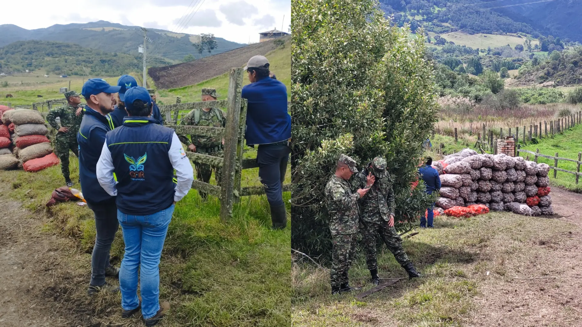 CAR impuso medida preventiva a cultivador de papa que invadió zona de páramo en Subachoque
