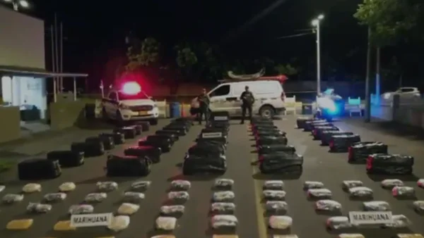 Incautan más de 1.000 toneladas de marihuana en Cundinamarca y Valle del Cauca Incautan más de 1.000 toneladas de marihuana en Cundinamarca y Valle del Cauca