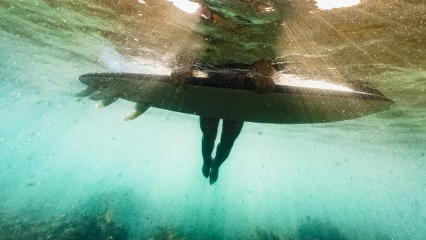 Pánico en Texas: cuatro personas fueron atacadas por un tiburón durante el Día de la Independencia