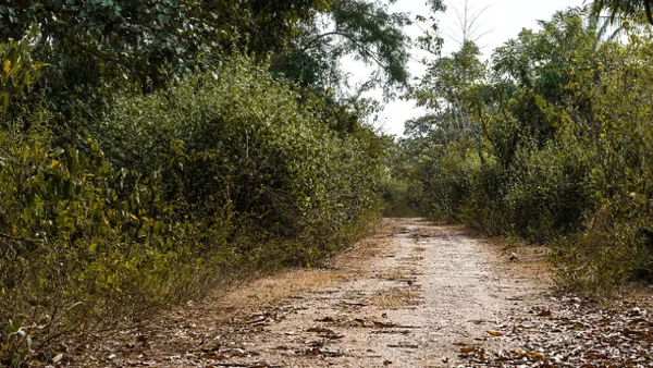 Cronología: así ocurrió el secuestro de un conductor de app hallado en zona boscosa de Villavicencio Cronología: así ocurrió el secuestro de un conductor de app hallado en zona boscosa de Villavicencio