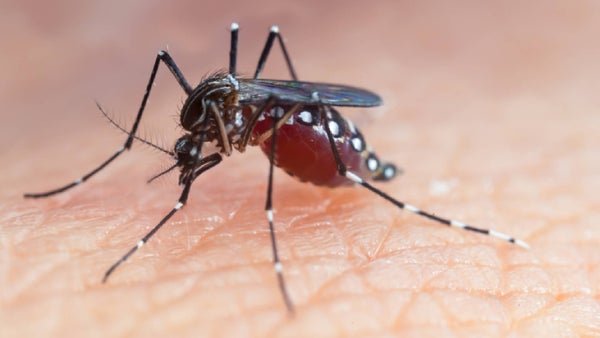 Alerta en Soledad: Más de 400 casos de dengue registrados en las últimas semanas