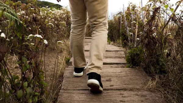 ¿Cuántas horas al día hay que caminar para mantener una vida saludable?