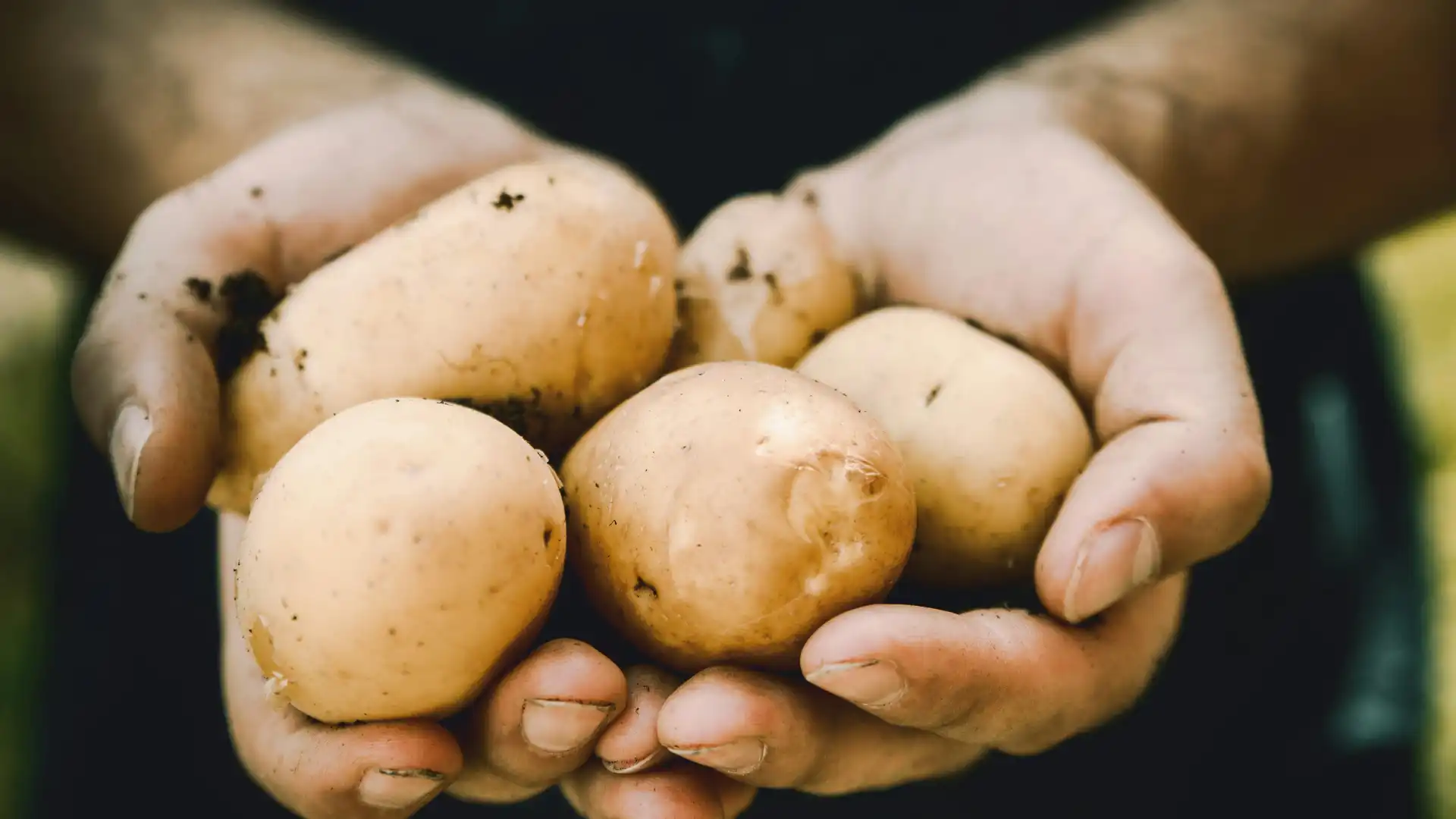 Director de la SAC explica las razones por las que el precio de la papa subió un 45,4%
