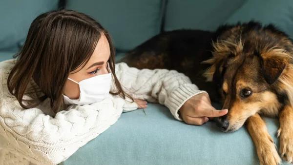 ¿Sufre de alergias a las mascotas? Descubra cómo controlarlas