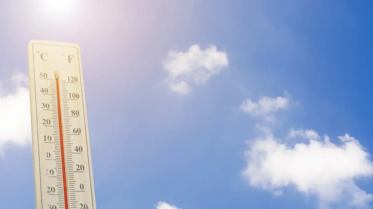 Cover image for La ONU advierte que se viene una década con “calor extremo”: pide tomar medidas