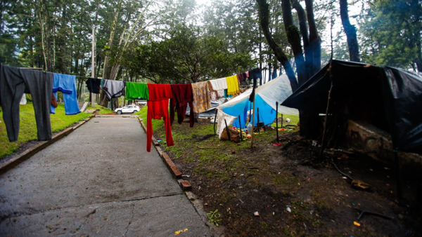 Indígenas asentados en el Parque Nacional retornarán a sus territorios a finales de julio
