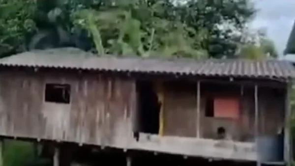 Se desmantelaron tres casas que eran los depósitos de armas de las disidencias de las Farc en Valle del Cauca