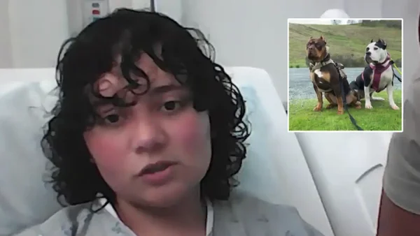 En video: colombiana reconstruyó el momento del salvaje ataque de sus perros en EE. UU. En video: colombiana reconstruyó el momento del salvaje ataque de sus perros en EE. UU.