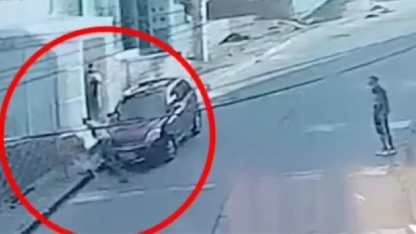 Desgarrador: un hombre asesinó con un puñal al perro de dos abuelos en Bogotá