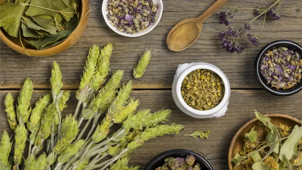 Las 5 mejores hierbas medicinales en Colombia con poder curativo