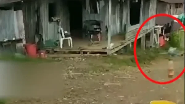 Videos revelan cómo el ELN entrenaría a la ‘unidad de droneros’ para atacar con estos artefactos en Nariño Videos revelan cómo el ELN entrenaría a la ‘unidad de droneros’ para atacar con estos artefactos en Nariño