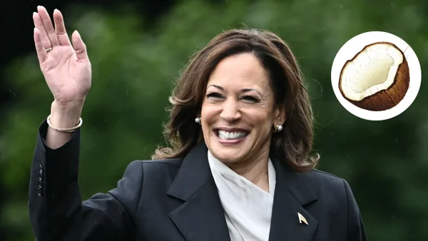 ¿Por qué el emoji del coco se convirtió en un símbolo de apoyo a Kamala Harris?