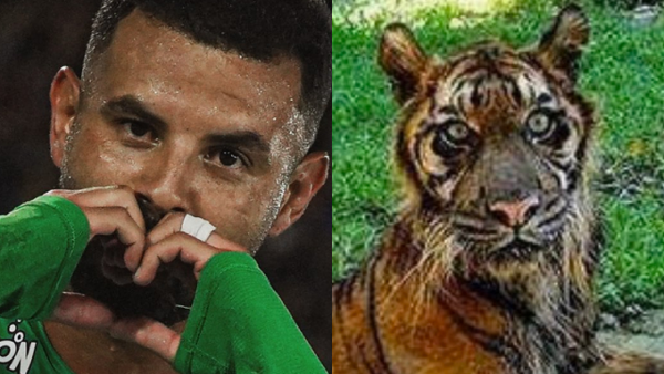 Nacional venció a Millonarios y aparecieron los memes: Edwin Cardona y Falcao, los protagonistas