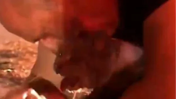 Conmovedor encuentro entre un hombre y su gato tras incendio en California, Estados Unidos