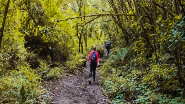 Senderos ecológicos en el cumpleaños de Bogotá: así puede inscribirse