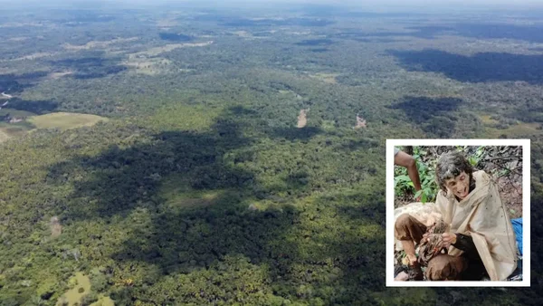 Revelan nuevos detalles de la mujer que fue encadenada a un árbol en India, ¿lo habría hecho ella misma?