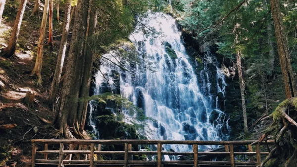 ¡Aventura cerca de Bogotá! Así puede visitar la cascada más alta de Colombia: cómo llegar y precios