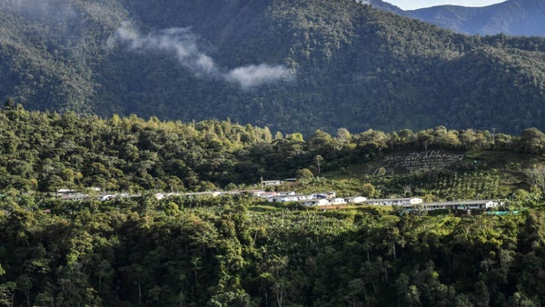 Dabeiba, la vida después de la muerte