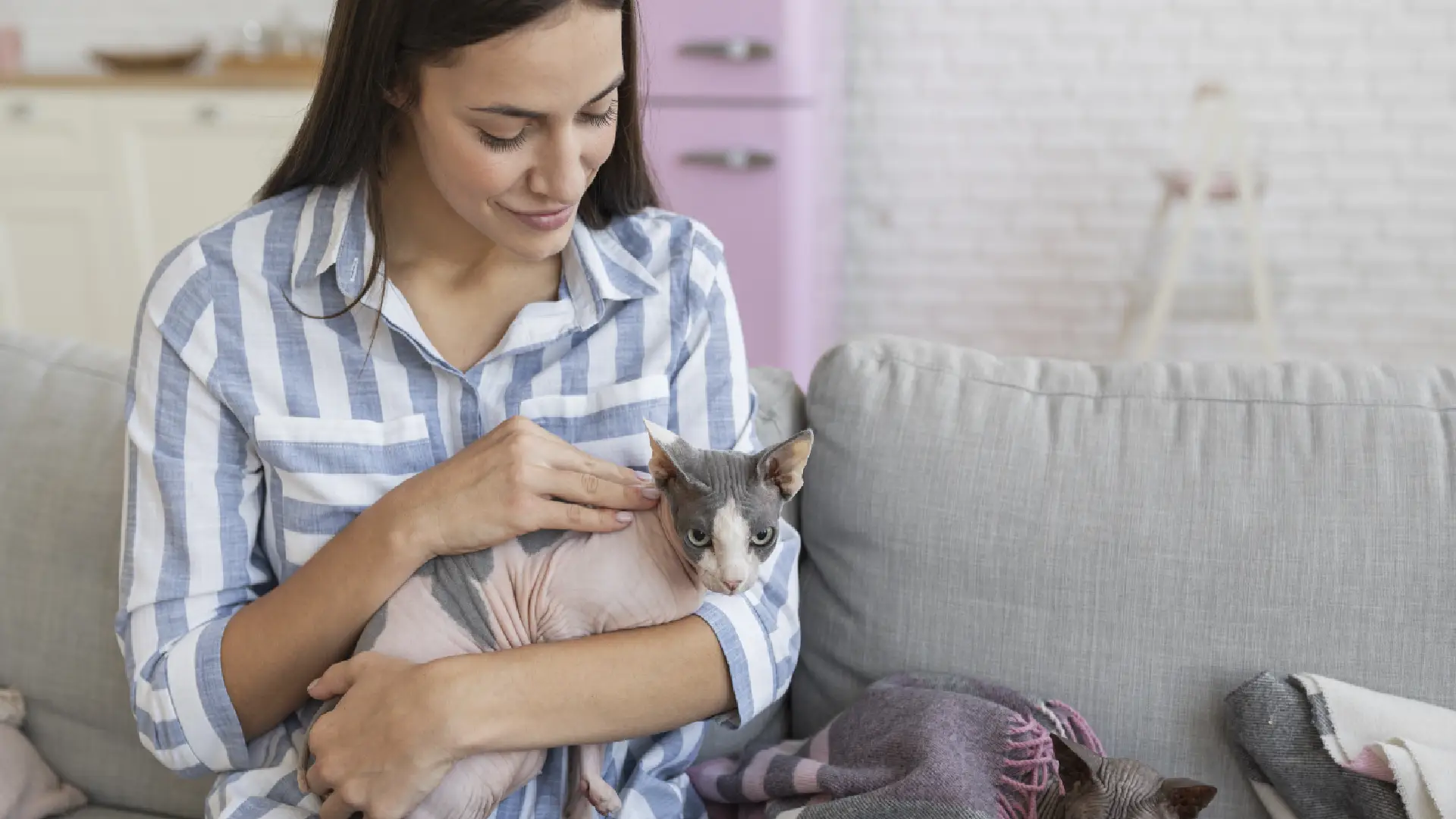Por qué los gatos no duermen con sus amos.