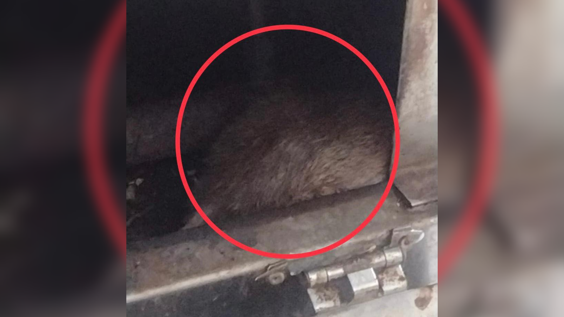 Restaurante cerrado en Ibagué.