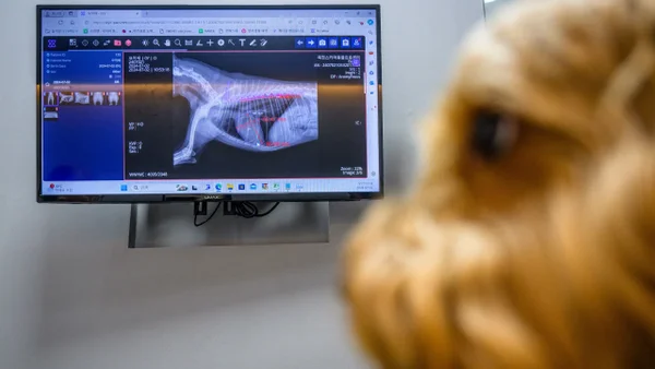 Mascotas están siendo atendidas por inteligencia artificial en Corea del Sur