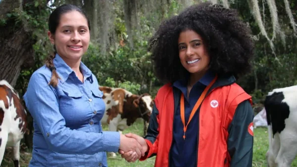 Banco lanza microseguros inclusivos para proteger a trabajadores informales de Colombia