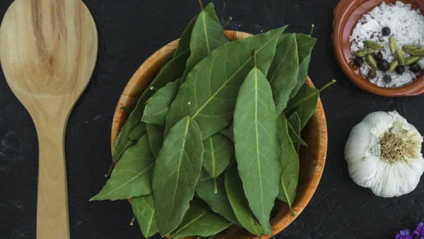 La planta que combate la diabetes y estimula la memoria: esto dicen los expertos