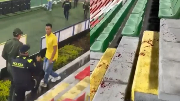 ¡Lamentable! Hincha del Deportivo Cali apuñaló a aficionado del Tolima en plena tribuna: video