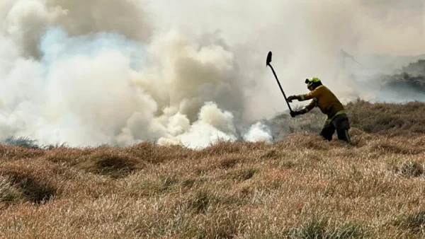 Autoridades investigan si los siete incendios del lunes en Bogotá fueron provocados