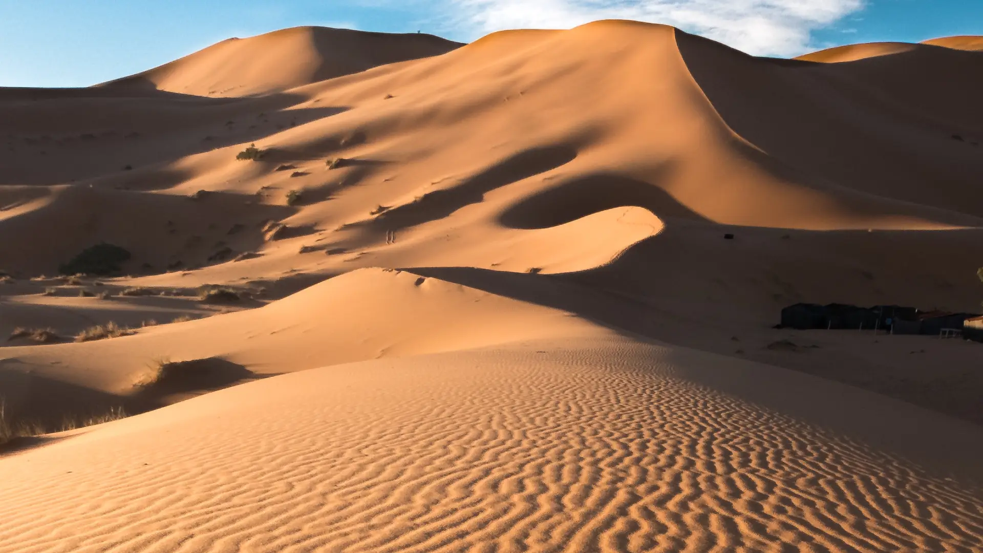 Desierto del Sahara