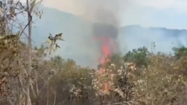 Video: este es el voraz incendio forestal que ha afectado más de 2.500 hectáreas de bosque en Tolima Video: este es el voraz incendio forestal que ha afectado más de 2.500 hectáreas de bosque en Tolima