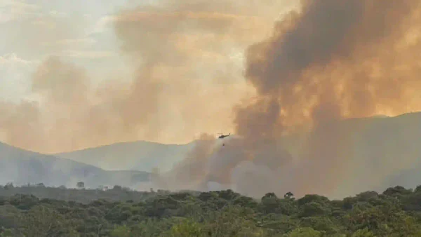 “Amanecimos con 381 municipios con algún nivel de alerta por incendio”: directora del Ideam