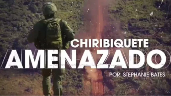 Chiribiquete amenazado: la destrucción de un lugar que debería ser un santuario