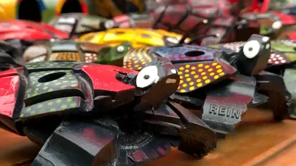 Urabá se alista para presentar sus emprendimientos en la COP16 Urabá se alista para presentar sus emprendimientos en la COP16