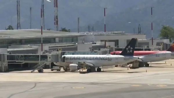 Denuncian mataderos ilegales y presencia de gallinazos cerca al Aeropuerto Palonegro: podrían suspender vuelos