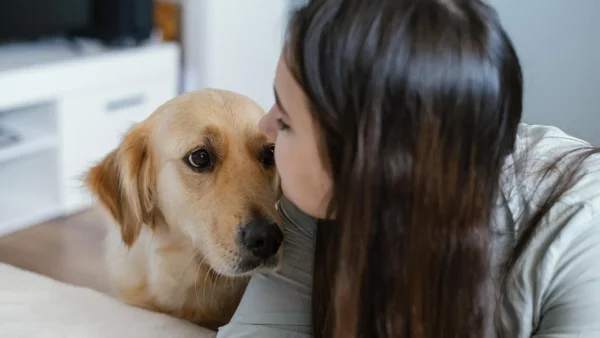 ¿Los perros olvidan a sus dueños con el tiempo? Así funciona su memoria