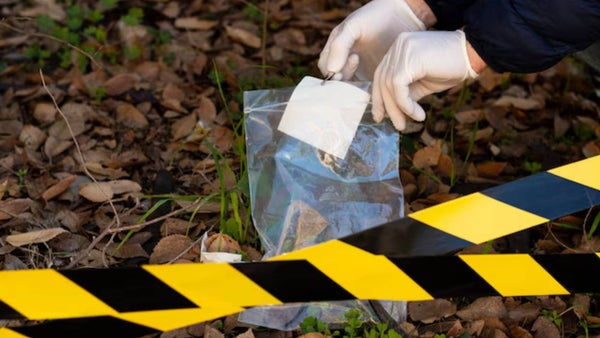 Hallaron tres cadáveres en la Playa de Belén, Norte de Santander: lo que se sabe