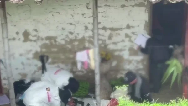 Masacre en una finca de La Victoria, Valle: las víctimas son dos hombres y una mujer