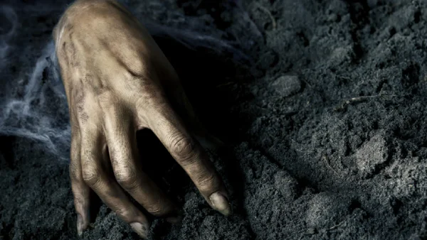 Maratón de terror: Las películas más aterradoras para octubre según la Inteligencia Artificial Maratón de terror: Las películas más aterradoras para octubre según la Inteligencia Artificial